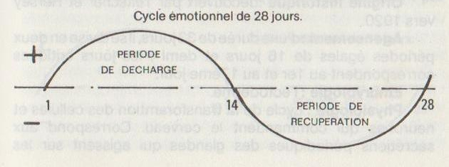 Cycle émotionnel - 28 jours