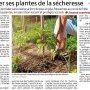 Préserver ses plantes de la sécheresse - Ouest-France 16 mai 2023