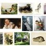Résultat recherche Google images "john james audubon"
