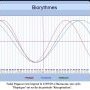 Biorythmes Tadej Pogacar 17/07/25
