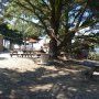 Nlle Guinguette Mt Juillet - sp 30/05/2025