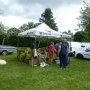 Foire St Jacques Viking - SP 11/05/2025