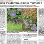 Plantations d'automne, c'est le moment ! - Ouest-France 21 (…)