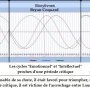 Biorythmes des trois coureurs
