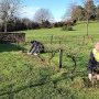 Bouturage de la vigne au Mont Juillet, 27 janvier 2025