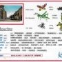 Carte humoristique sur Les Touches - cplest226
