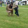 Foire St Jacques Viking - SP 11/05/2025