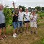 Taille en vert de la vigne 28/06/2025