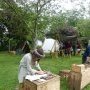 Foire St Jacques Viking - SP 11/05/2025
