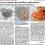 Et si ont cultivait des lentilles, cette année ? - Ouest-France 30 mars 2025