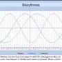 Biorythmes Mathieu Van der Poel 06/07/25