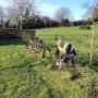 Bouturage de la vigne au Mont Juillet, 27 janvier 2025