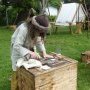 Foire St Jacques Viking - SP 11/05/2025