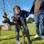 Taille de la vigne au Mont Juillet le 15 mars 2025