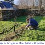 Bouturage de la vigne au Mont Juillet, 27 janvier 2025