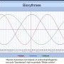 Biorythmes Thymen Arensman 19/07/25