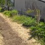 Photo 24 mai 2026