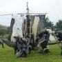 Foire St Jacques Viking - SP 11/05/2025