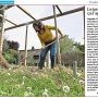 Le jardin, ça s'apprend, pailler sur une épaisseur de 10 cm - Presse (…)