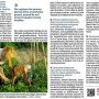 Comment réussir ses semis du potager ? - Ouest-France 22 mars 2026 - 2/2