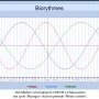 Biorythmes Tim Merlier 13/07/25
