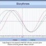 Biorythmes Tadej Pogacar 08/07/25