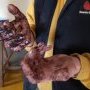 Semis de printemps le samedi 22 février 2025
