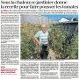 Sous la chaleur, la recette pour faire pousser les tomates - Ouest-France 19 (…)