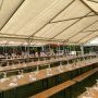 Kermesse 8 juin 2025 - Stan