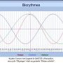 Biorythmes Kaden Groves 26/07/25
