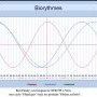 Biorythmes Ben Healy 10/07/25