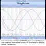 Biorythmes Remco Evenepoel 09/07/25