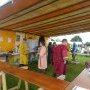 Foire St Jacques Viking - SP 11/05/2025