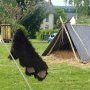 Foire St Jacques Viking - SP 11/05/2025