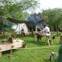 Foire St Jacques Viking - SP 11/05/2025