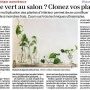 Envie de vert au salon ? Clonez vos plantes ! - Ouest-France 1er mars 2026