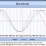 Biorythmes Tadej Pogacar 16/07/25