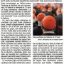 Election du futur pape : conclave le 7 mai - Ouest-France 29 avril 2025