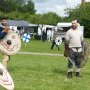 Foire St Jacques Viking - SP 11/05/2025